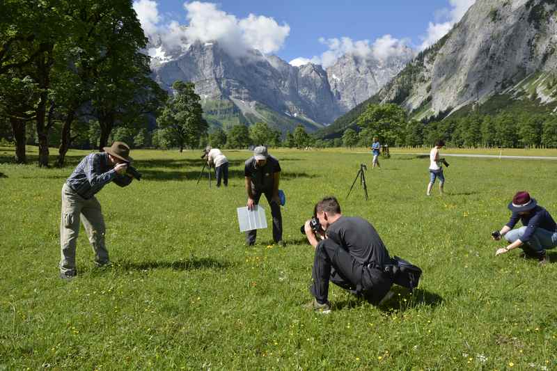 Direkt am Ahornboden - Fotokurs für Makrofotografie