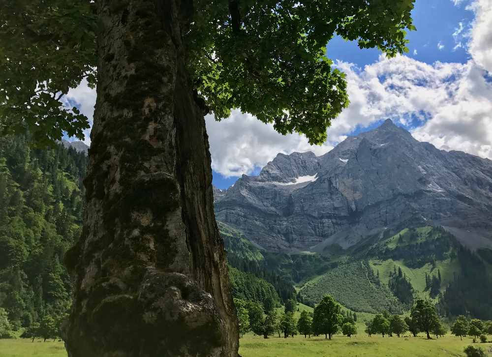 Großer Ahornboden mit Blick auf die spitzen Berge im Karwendel