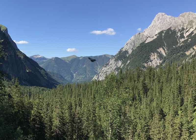 Der Blick zurück durch das Tal, rechts die Falkengruppe - so heißen diese markanten Spitzen im Karwendel