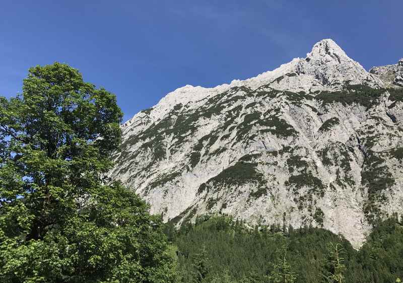 Vom Wanderweg im Johannestal ist die Falkengruppe zu sehen