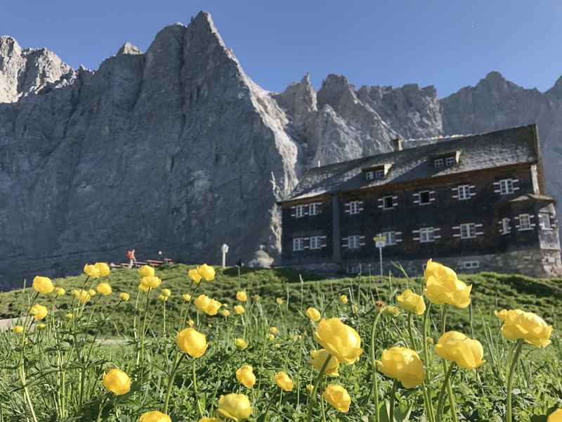 Im Juni auf die Falkenhütte wandern im Karwendel, zur Blüte der Trollblumen