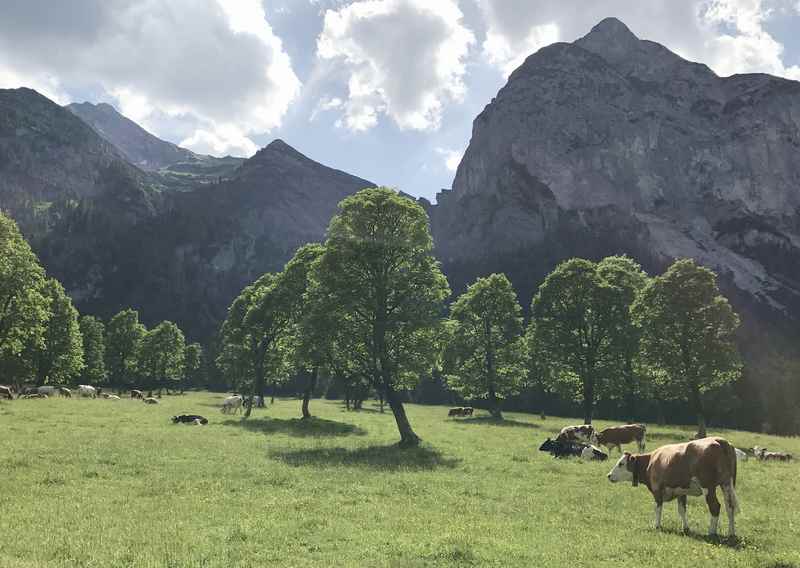 Das ist der Blick vom Lenker aus bei der Radtour durch den Ahornboden ins Karwendel