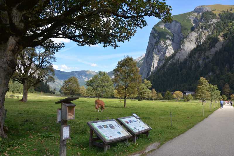 Auf dem Lehrpfad vom letzten Parkplatz in der Eng bis zur Engalm gibt es Wissenswertes rund um den Ahornboden und das Karwendel zu lesen, auch gut mit Kindern zu entdecken