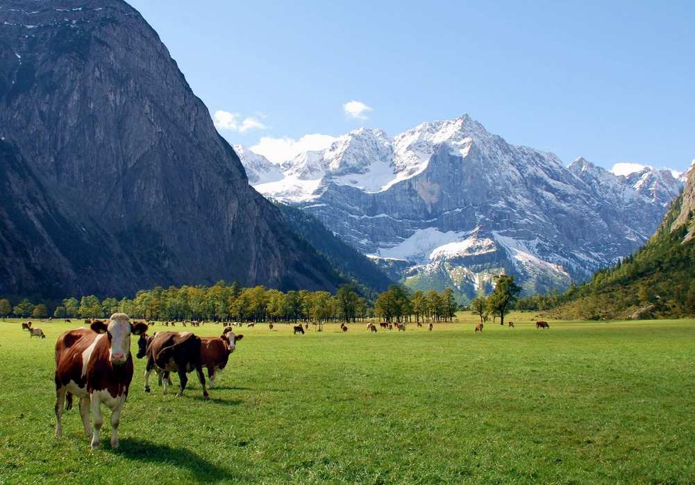 Der Große Ahornboden mit der Engalm ist ein Traumort in den Alpen - muss man mal gesehen haben!