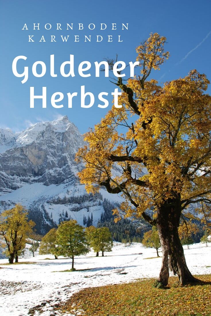 Goldener Herbst am Ahornboden