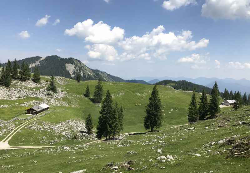 Der Blick über die Moosenalm hinüber ins Vorkarwendel, schöne Alpenlandschaft mit "Grasbergen"