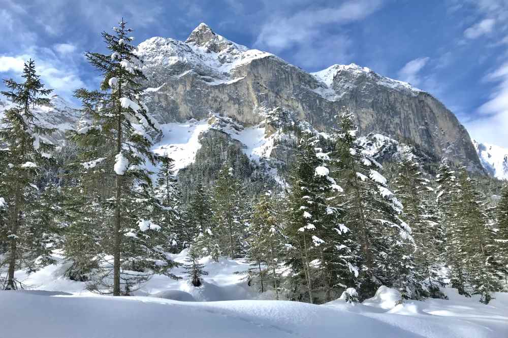 Der Blick von der Karwendelloipe auf die 2015 m hohe Roßlaufspitze