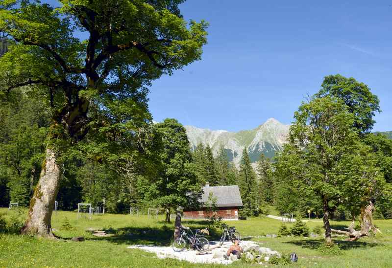 So schön ist es zum Mountainbiken im Gebiet Hinterriß Eng mit den Ahornbäumen und Bergen, das Karwendelgebirge hat von Juni bis Oktober MTB Saison 