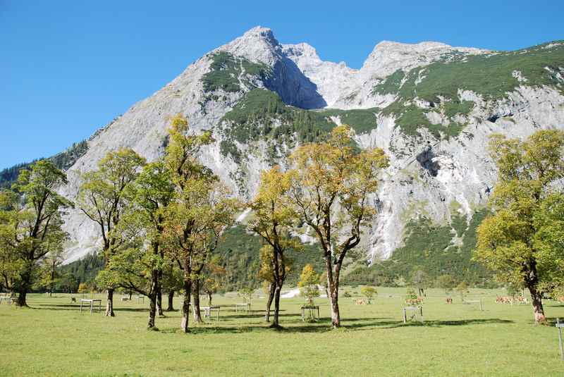 Der bekannteste Ort im Naturpark Karwendel: Das Naturdenkmal großer Ahornboden