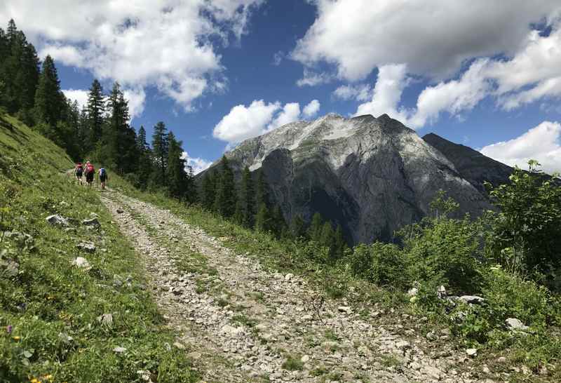 Auf dem Panoramaweg geht es ein Stück hinunter in Richtung Binsalm