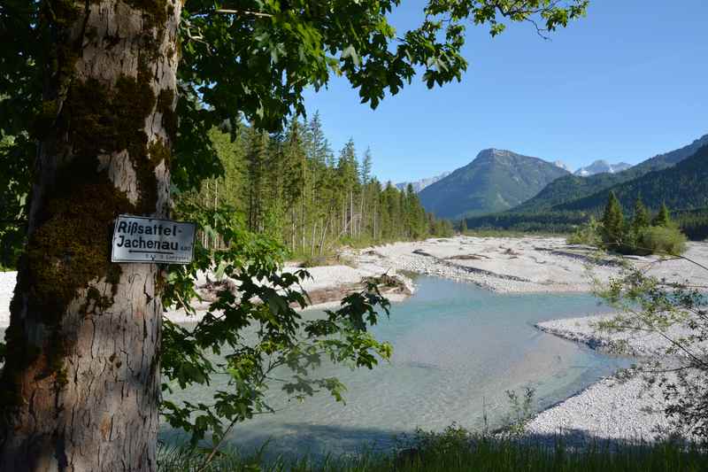 In Vorderriß zweigt das Rißtal vom Isartal ab, so schön ursprünglich ist es dort an der Isar