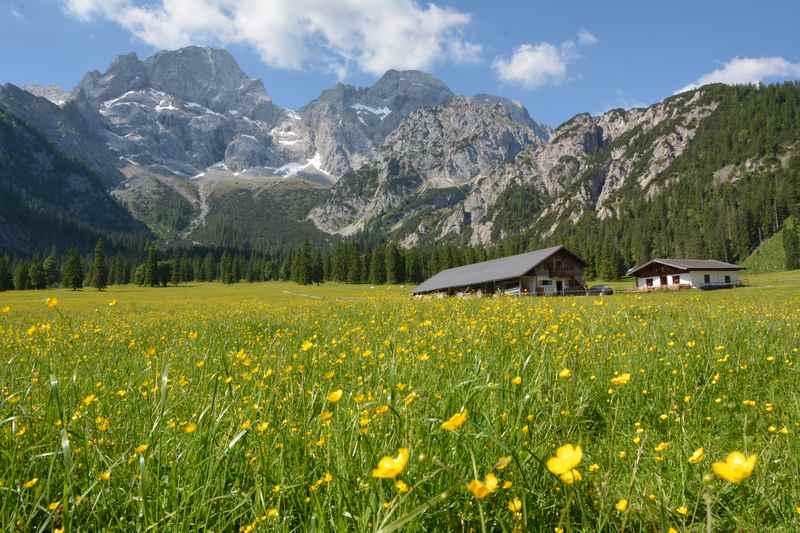 Im kleinen Rohntal ist im Sommer zwischen Blumen die Rohntalalm zu sehen