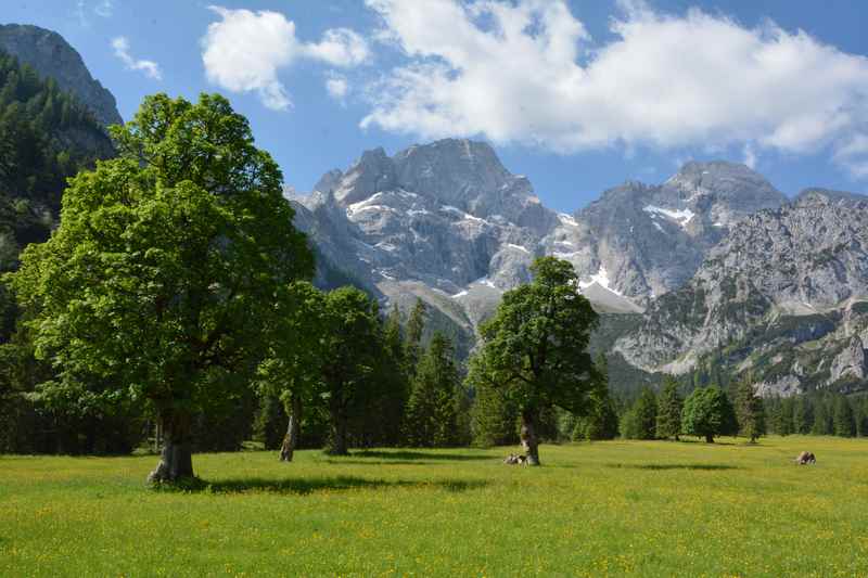 Ahornboden oder nicht Ahornboden? Die Landschaft ist zum Verwechseln ähnlich bei der Rohntalalm im Karwendel