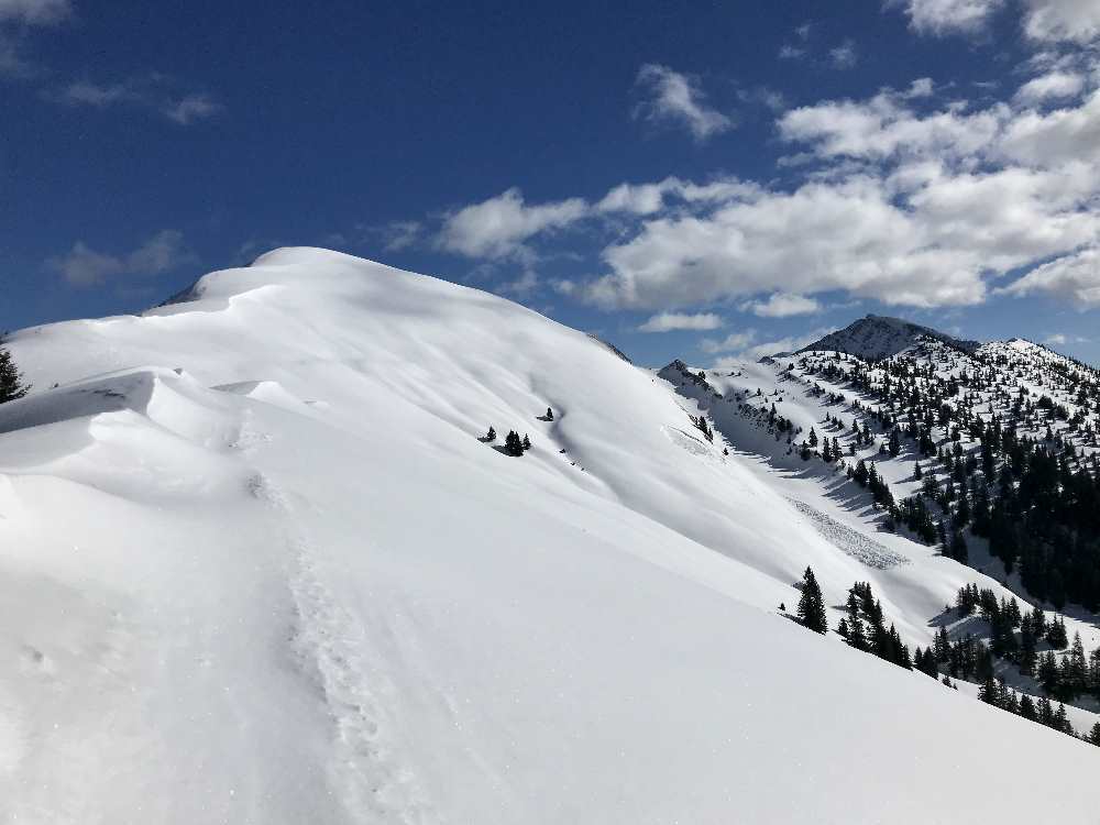 Schönalmjoch Skitour: Der schöne Gipfelhang oben ist ein Traum, leider viel zu kurz