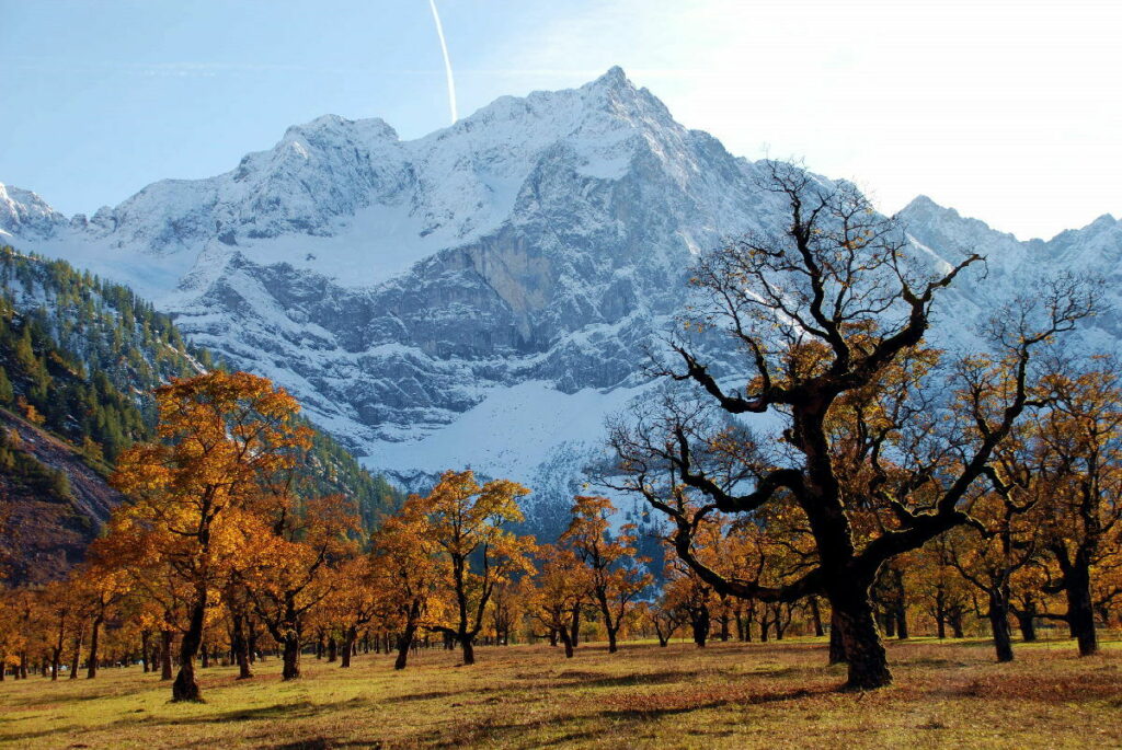 Der schönste Platz der Alpen im Herbst: Wenn die Blattfärbung am Ahornboden in vollem Gange ist