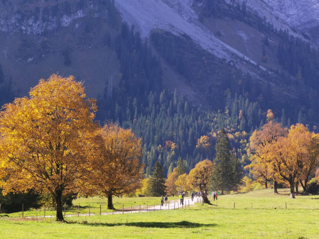 Ahornboden Herbst