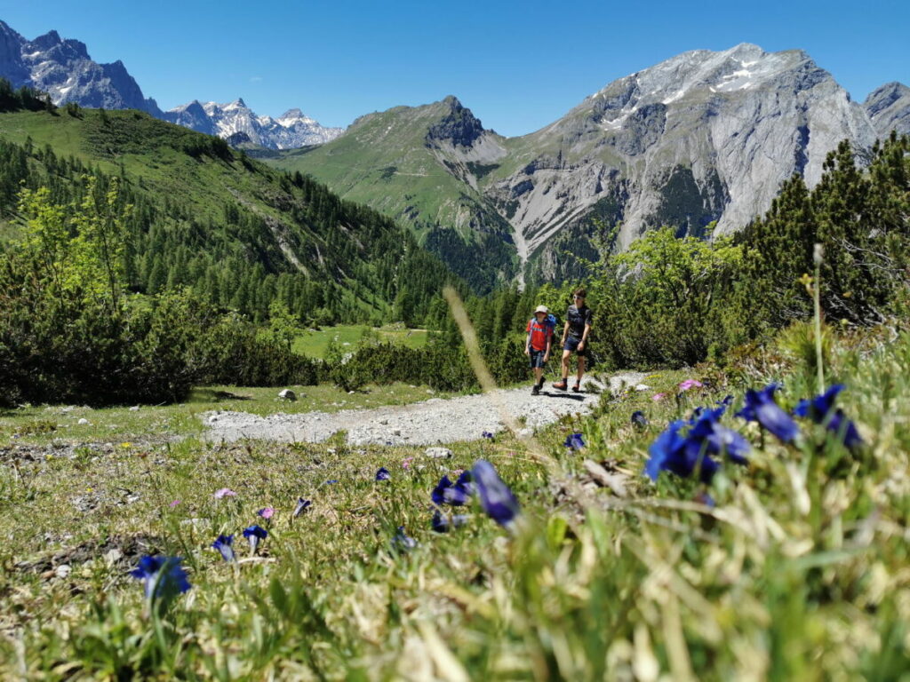 Ahornboden Wanderung Richtung Lamsenjoch - entlang der Enzianwiesen im Karwendel wandern