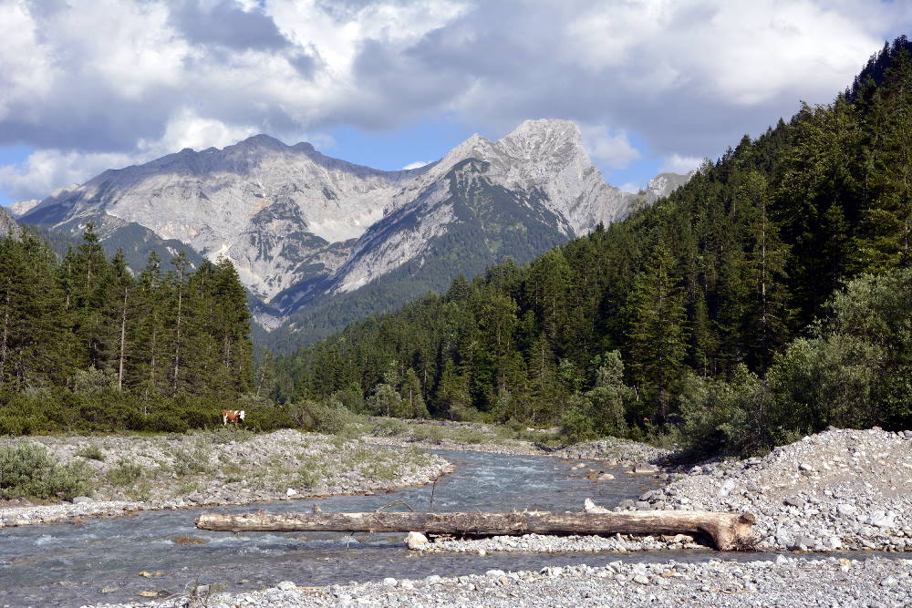 Perfektes Ahornboden Wetter im Sommer: Blauer Himmel und Wolken