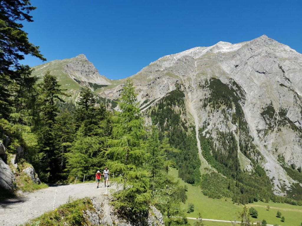 Vom Steig kommst du auf den breiten Weg auf deiner Binsalm Wanderung