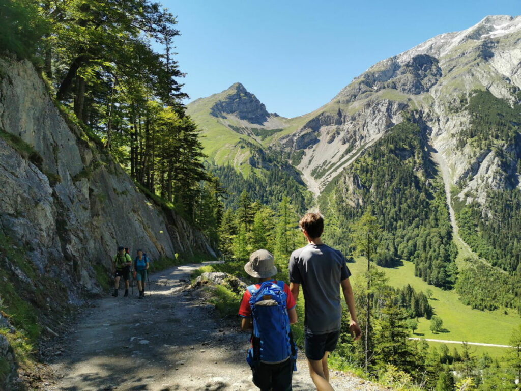 Die Binsalm Wanderung - mit Blick zum Gamsjoch