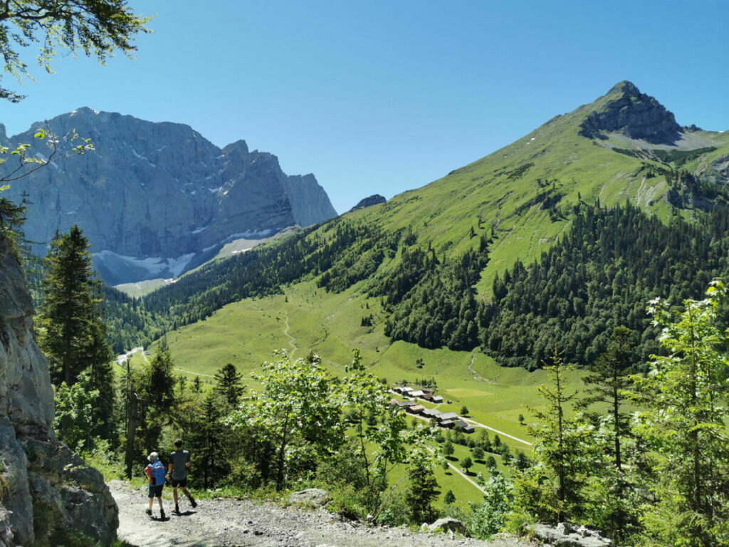 Von der Binsalm ins Almdorf Eng wandern - vom Wanderweg kannst du schon zur Engalm hinunter schauen