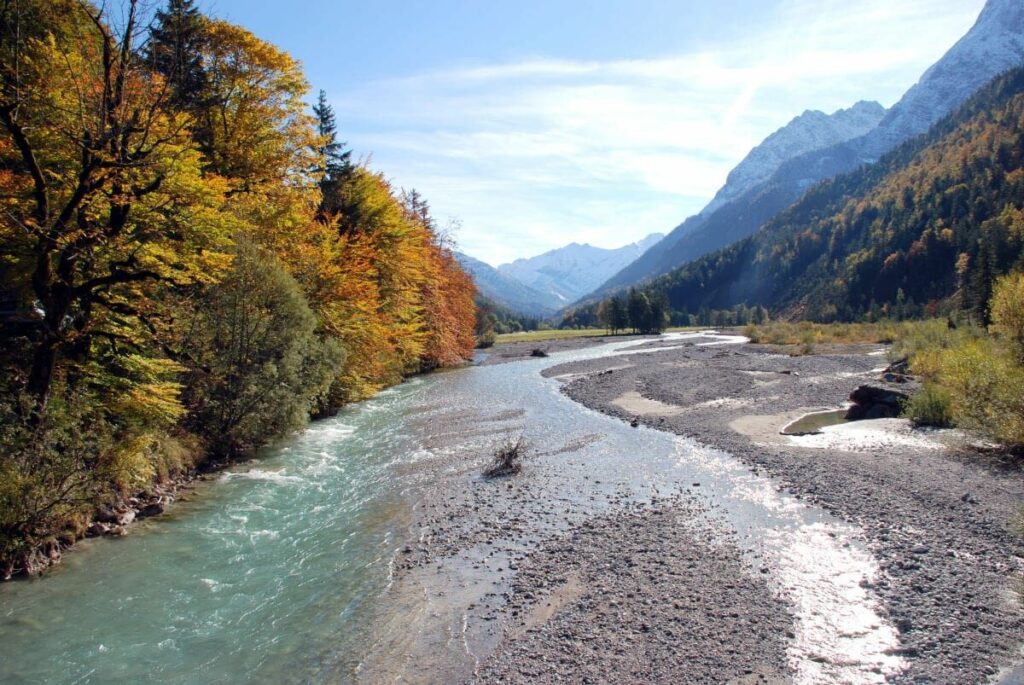  Herbstfärbung Karwendel: Bunt gefärbte Buchen am Rißbach nahe Hinterriß im Karwendelgebirge 