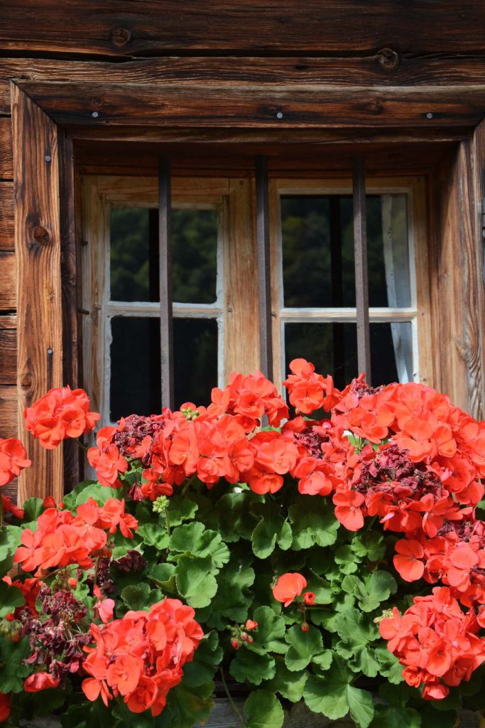 Rustikal und mit viel Blumenschmuck die Hütten der Alm