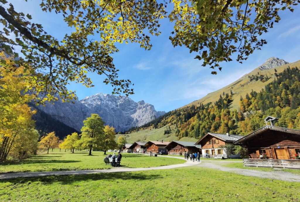 AHORNBODEN HERBST 2025 So Ist Es Aktuell 
