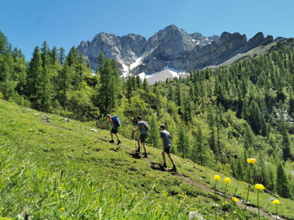 Oberhalb der Binsal auf dem Steig durch die Almwiese Richtung Hahnkampl wandern