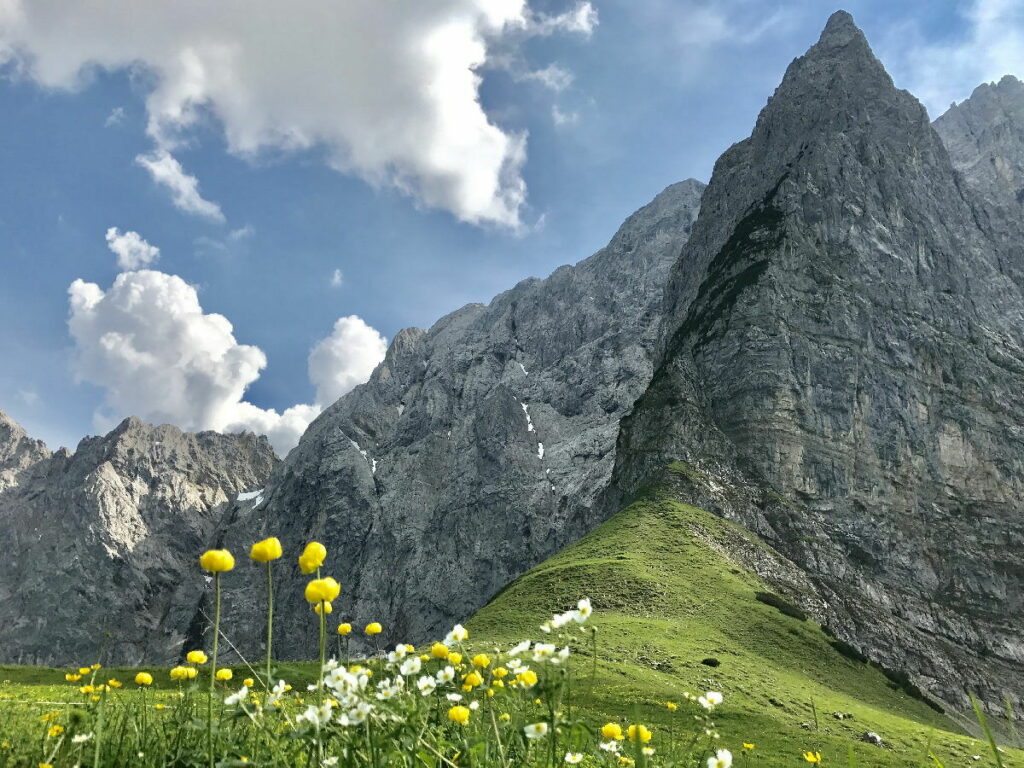 Von der Eng rauf zum Hohljoch - ein Traum im Frühling zur Blüte der gelben Trollblumen