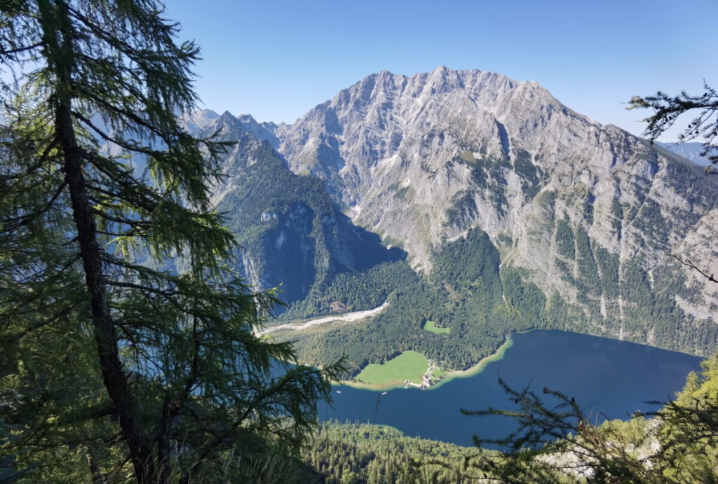 Münchner Hausberge - der Watzmann über dem Königssee, vom Feuerpalfen gesehen