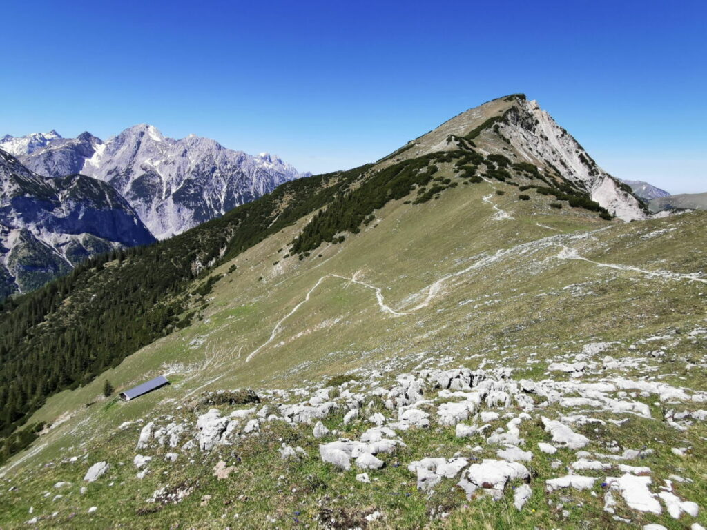 Auf den Kompar wandern: Im Bild links ist der Hasentalalm Hochleger - rechts der Gipfel