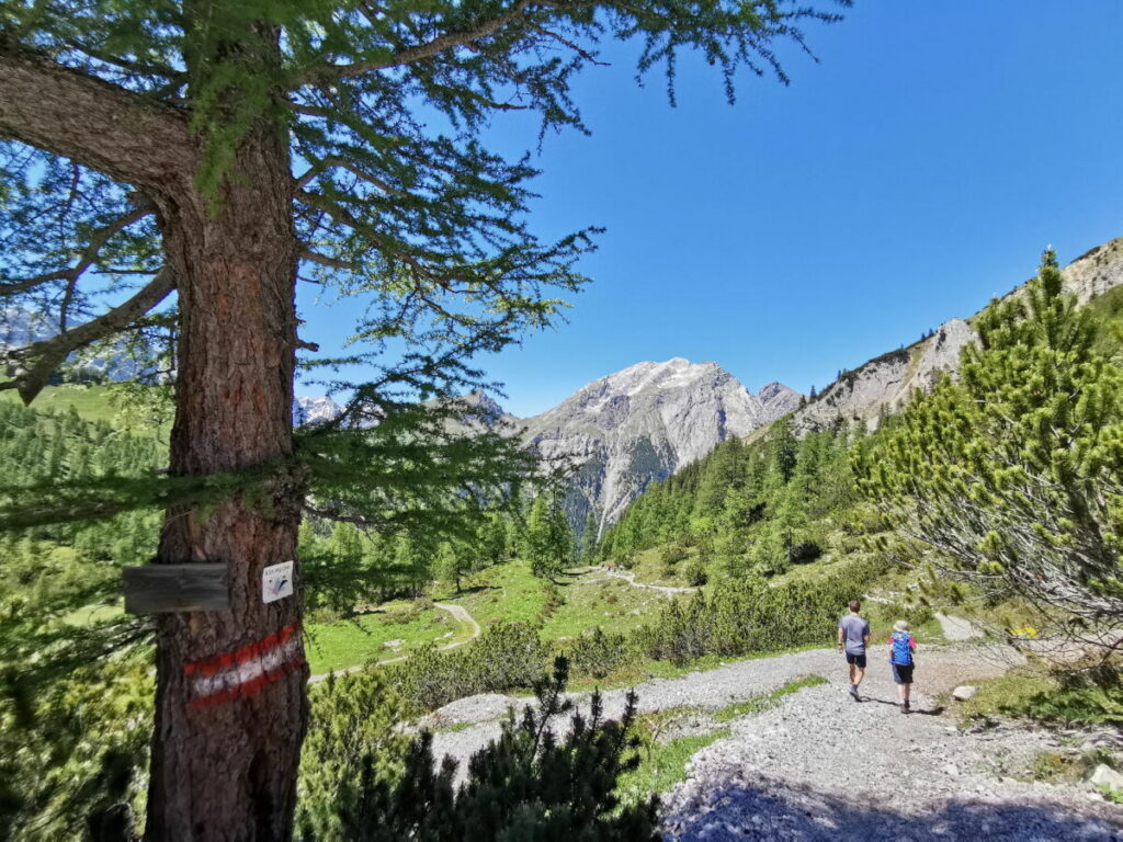 Hahnkampl Abstieg: Vom Lamsenjoch zur Binsalm wandern