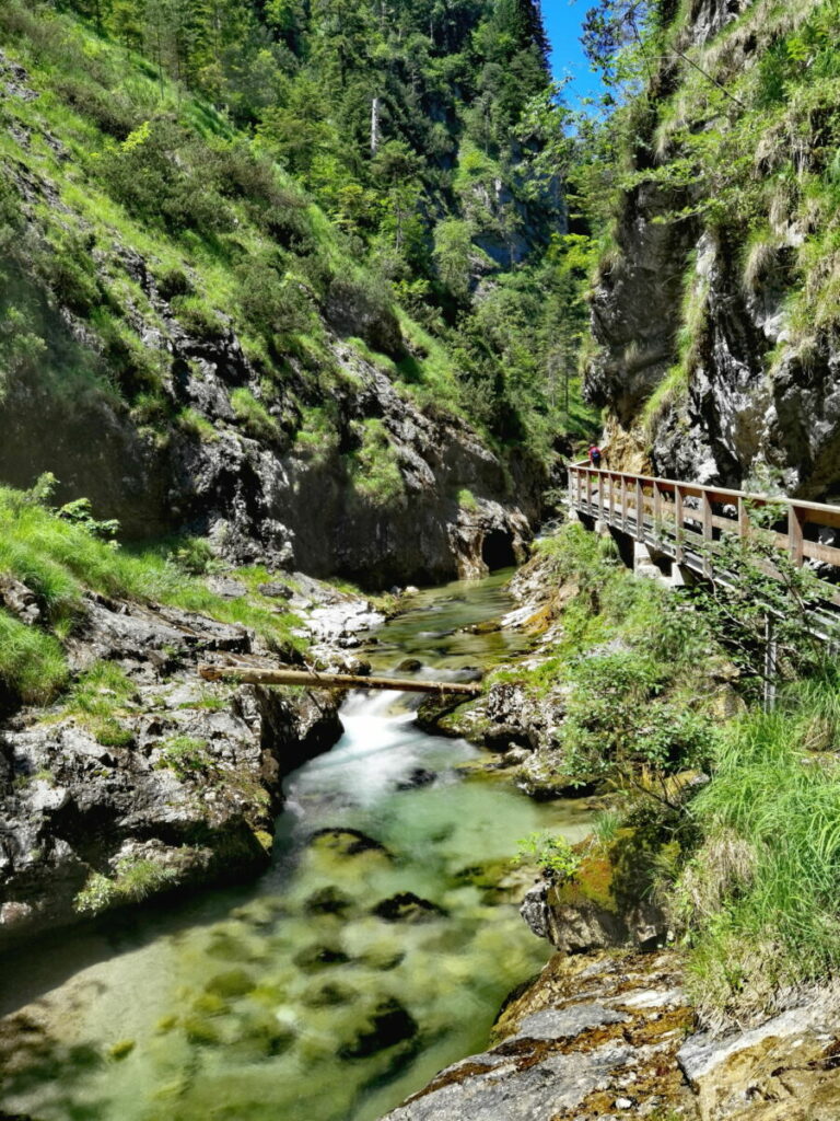 Münchner Hausberge Geheimtipp: Die Weißbachschlucht