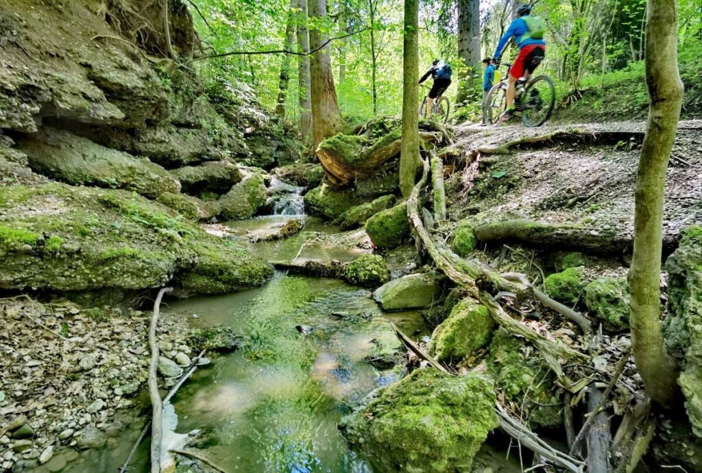 Münchner Hausberge vor den Toren der Stadt: Die Maisinger Schlucht am Starnberger See