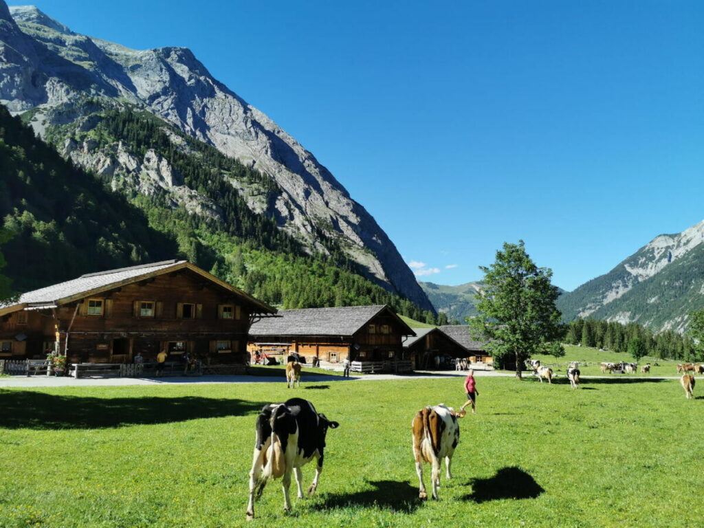 Wanderung in den Münchner Hausbergen - der Große Ahornboden im Karwendel ist überaus beliebt