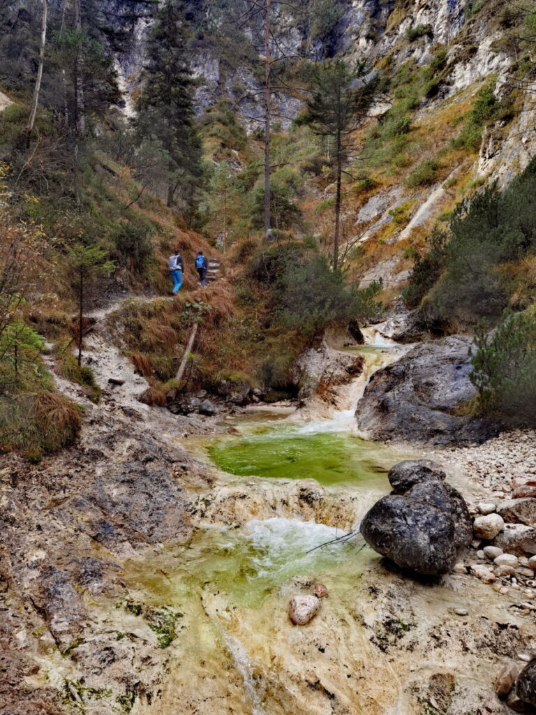 Münchner Hausberge Wanderung von Gumpe zu Gumpe