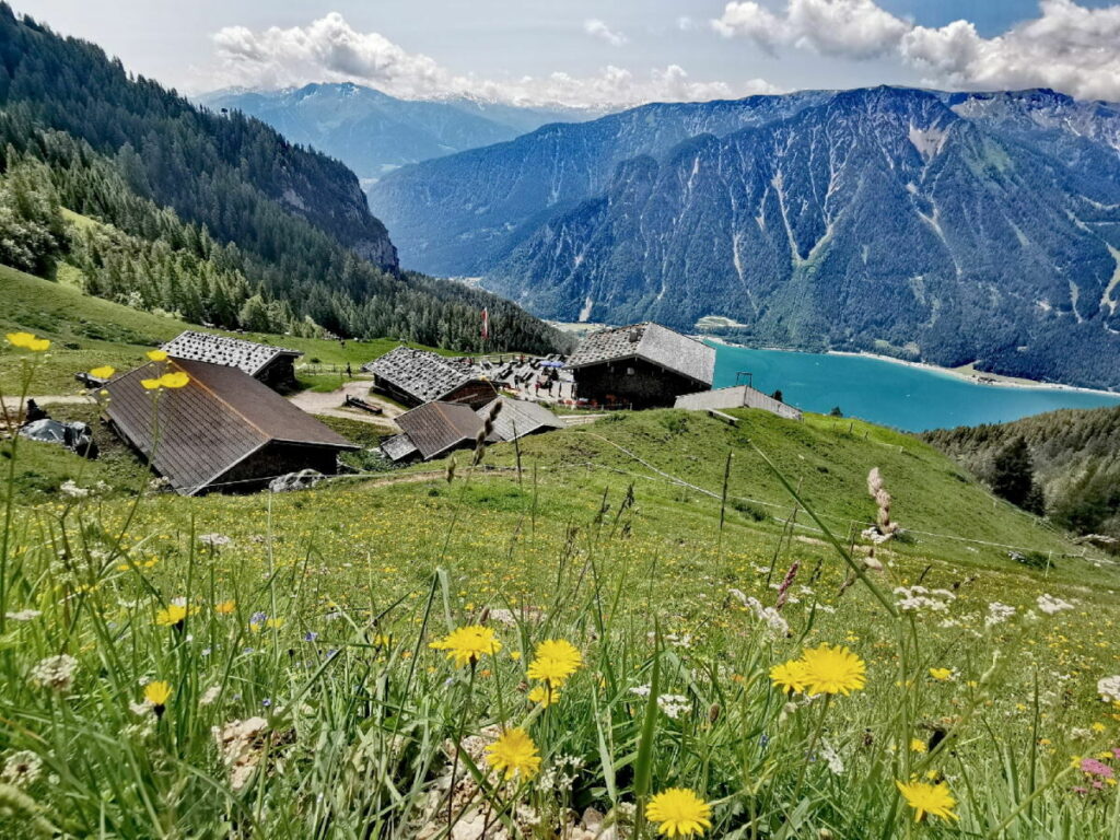 Blick von der Dalfazalm über den Achensee in den Naturpark Karwendel