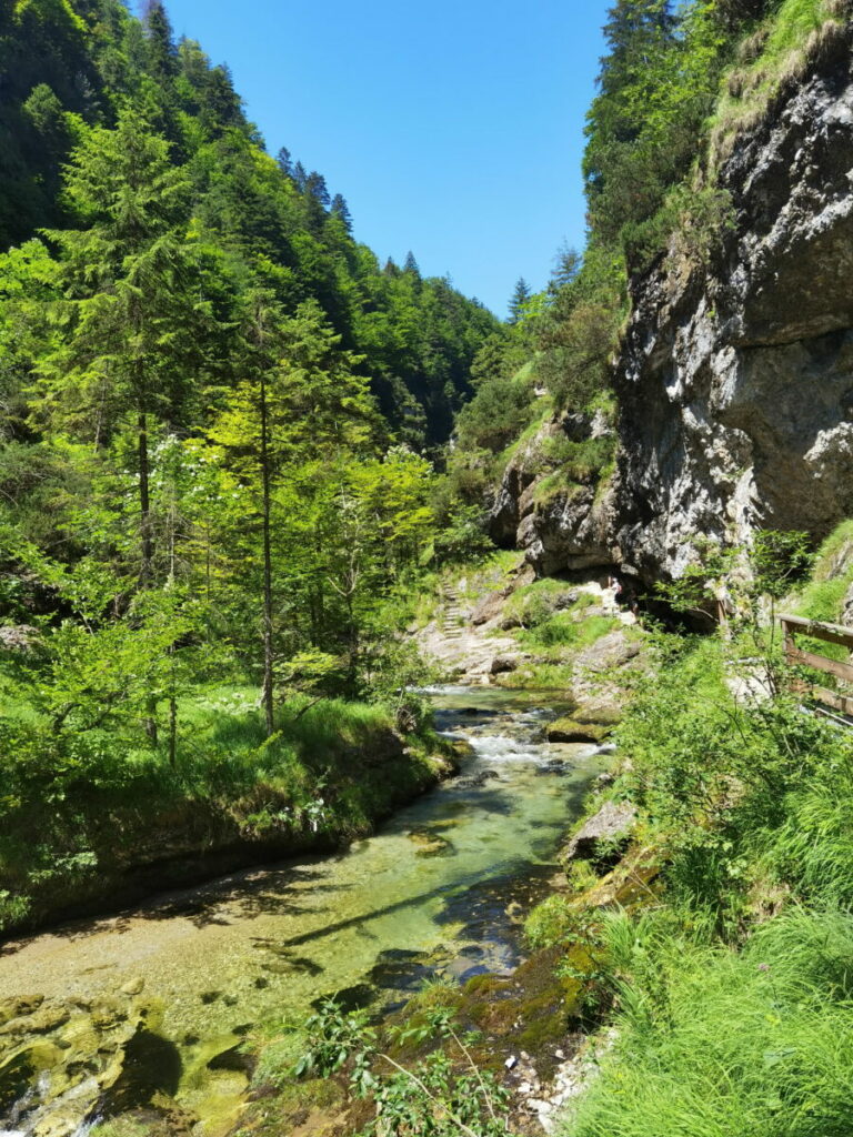 Naturschauspiele in Bayern: Die Weißbachschlucht