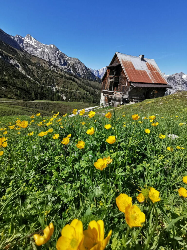 Einmalig schön mit den Blumen im Mai und Juni: Die Plumsjochhütte
