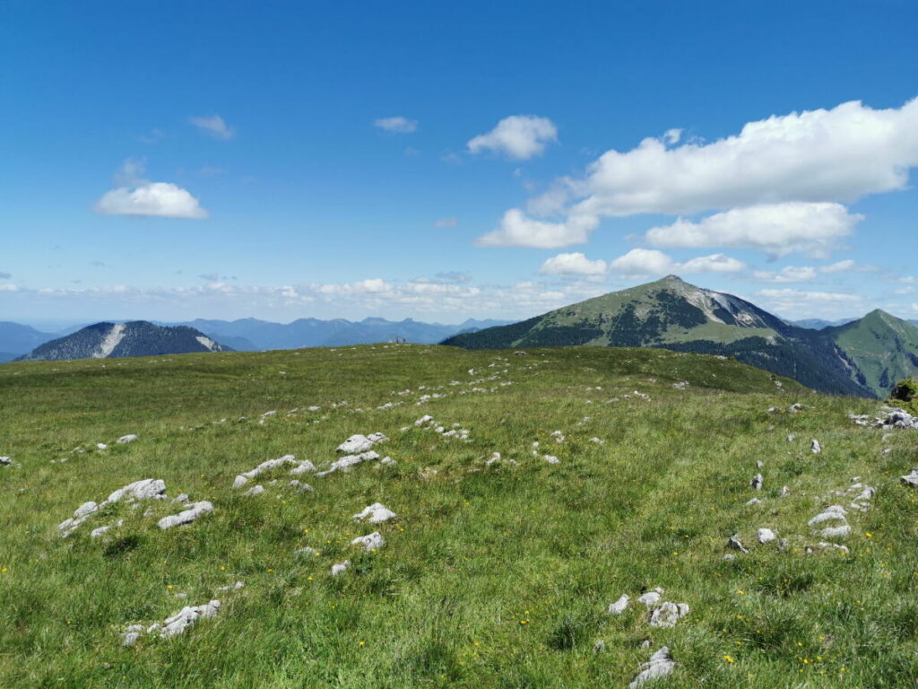 Vorderskopf Hinterriss - so flach ist der Gipfel. Ganz klein mittig im Bild die Menschen am Gipfelkreuz