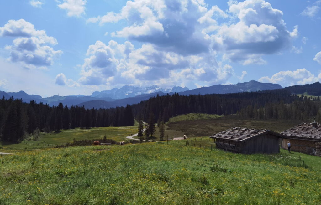 Münchner Hausberge rund um die Winklmoosalm